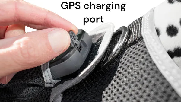 Dog wearing lightweight mesh GPS tracking harness for pet safety and location monitoring