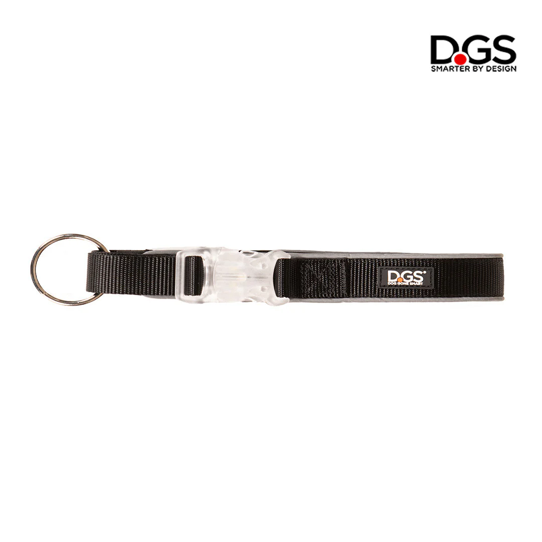 Comet Rechargeable Light-Up flat dog collar with bright LED light and USB charging