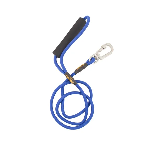 Adjustable 2-in-1 Leash and Harness Dog Walking Set