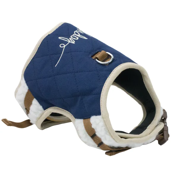 Adjustable Fashionable Dog Walking Sets