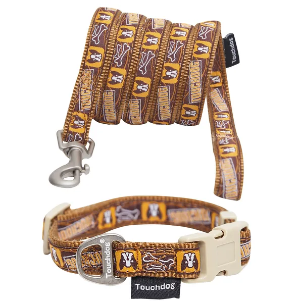 Embroidered Designer Dog Walking Set