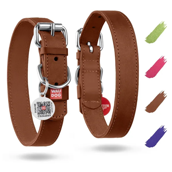 Leather Flat Dog Collar