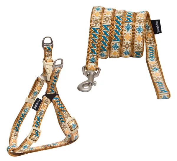 Embroidered Leash And Harness Dog Walking Set