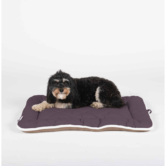 Sleeper Dog Cushion