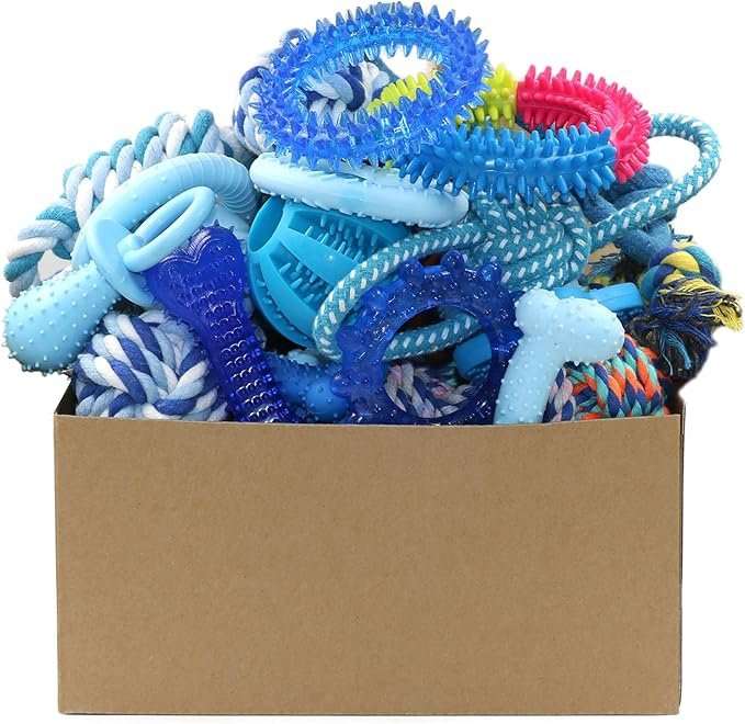 20 pack dog chew toys for puppies with various textures and shapes for dental health and teething relief