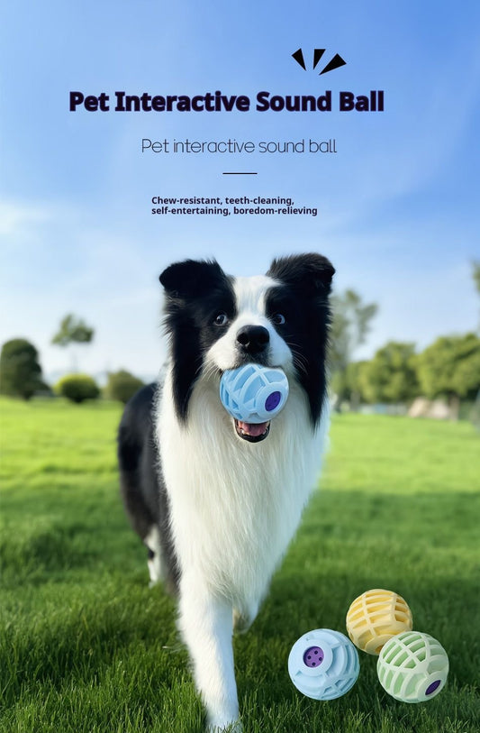 Interactive Dog Toys - Sound Ball