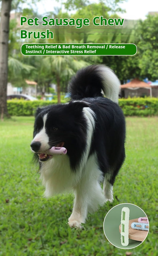 Pet Chew & Clean Buddy Dental Toy