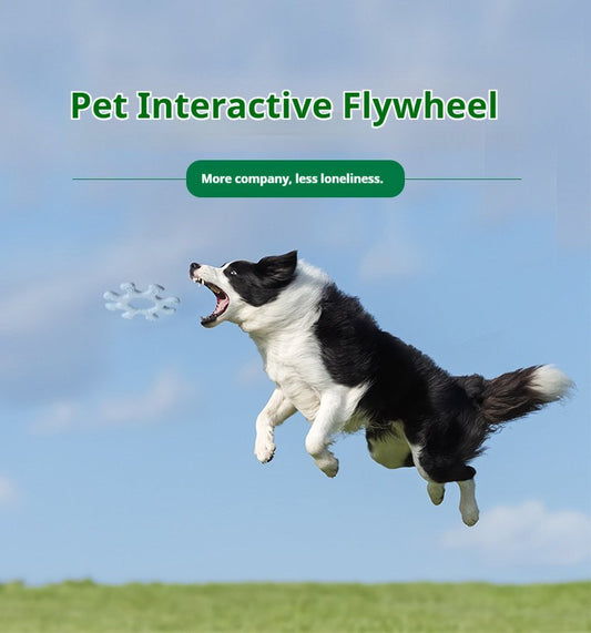 Interactive Flywheel