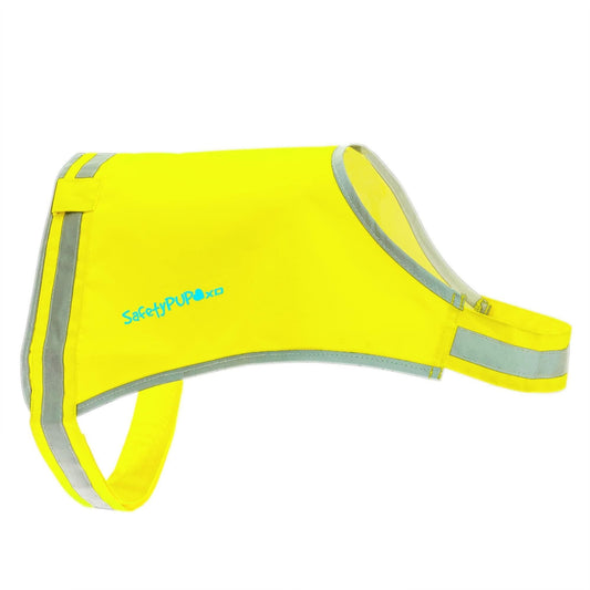 Bright orange reflective dog life jacket for outdoor safety and visibility