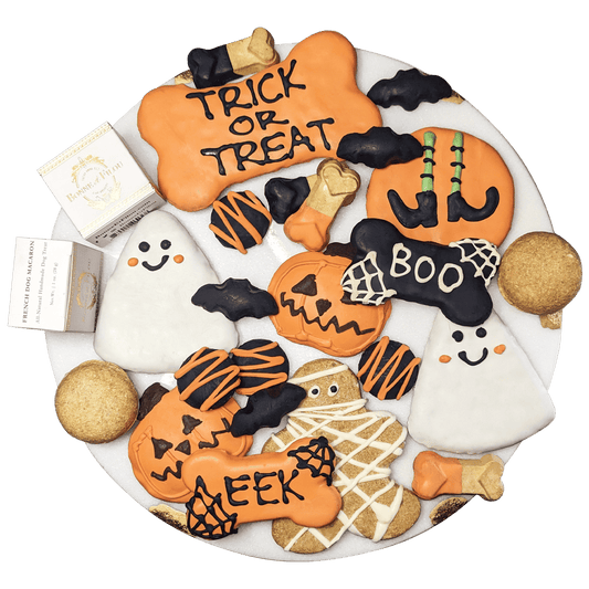 Halloween Themed Dog Biscuits Treats Gift Box