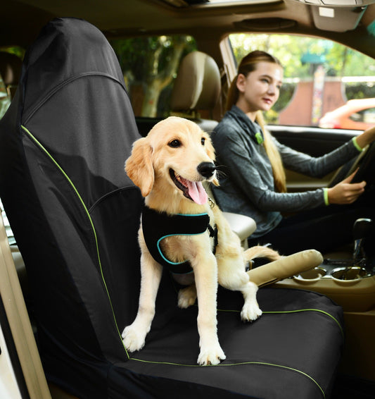Single Seated Car Seat Dog Cover