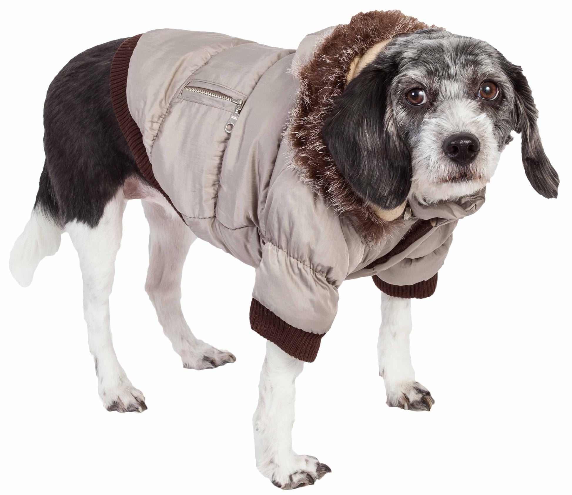 Pet Life Metallic Parka dog coat with Thinsulate insulation, removable faux fur hood, and belly velcro closures for cold weather.