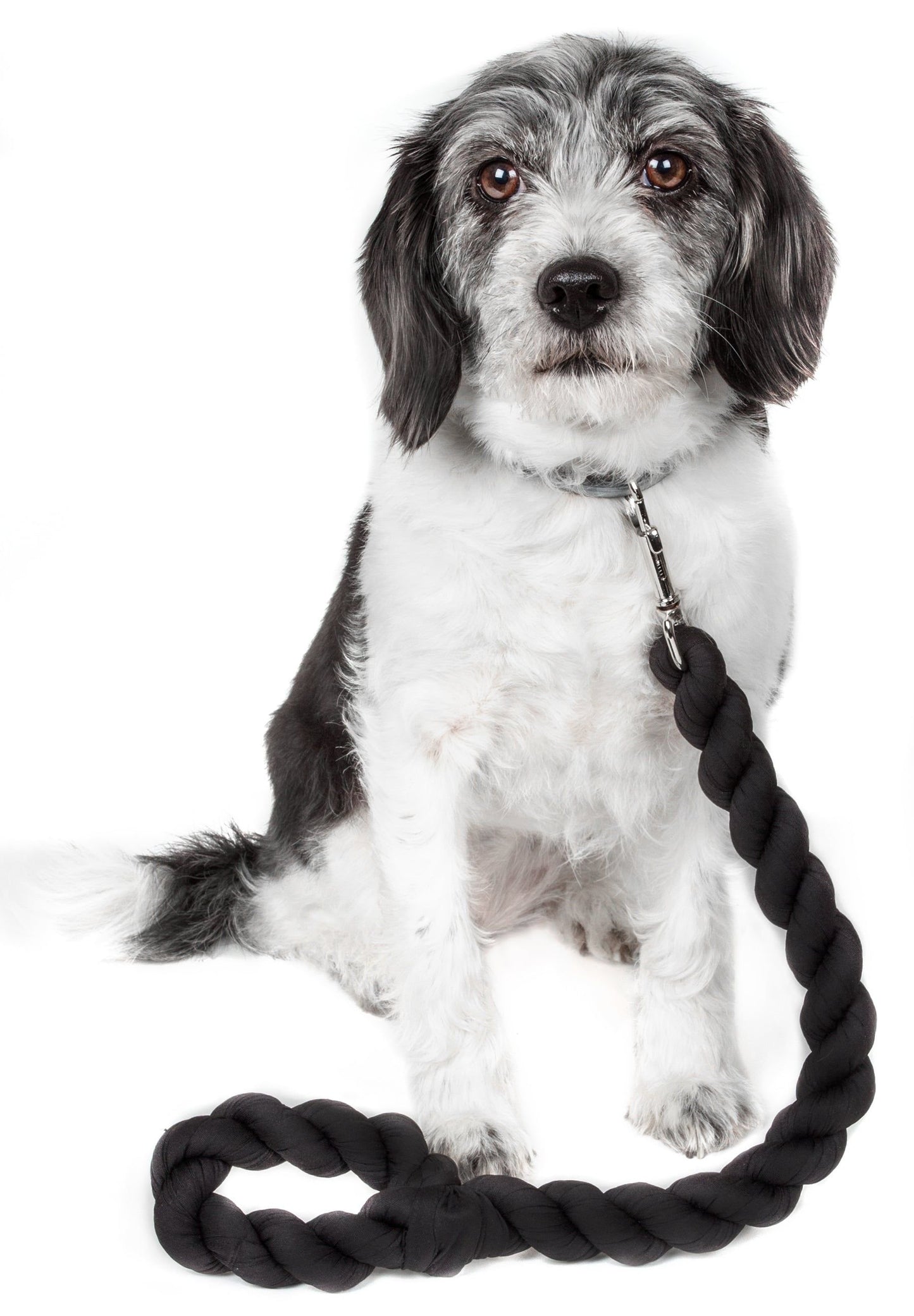 Industrial-Strength Shock Absorption Braided Dog Leash
