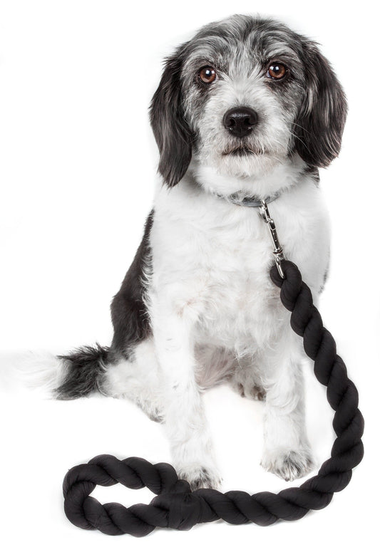 Industrial-Strength Shock Absorption Braided Dog Leash