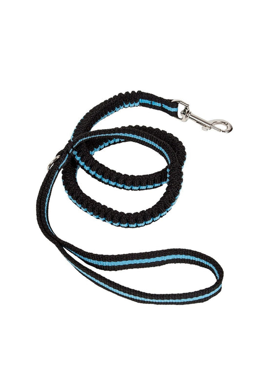 Shock Absorption Stitched Stretchy Dog Leashes