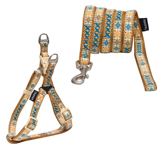 Embroidered Leash And Harness Dog Walking Set
