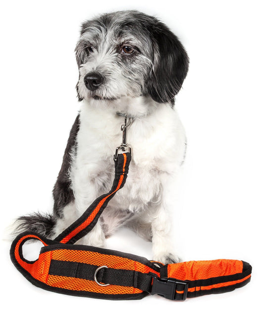 Hands-Free Leash and Belt with Pouch