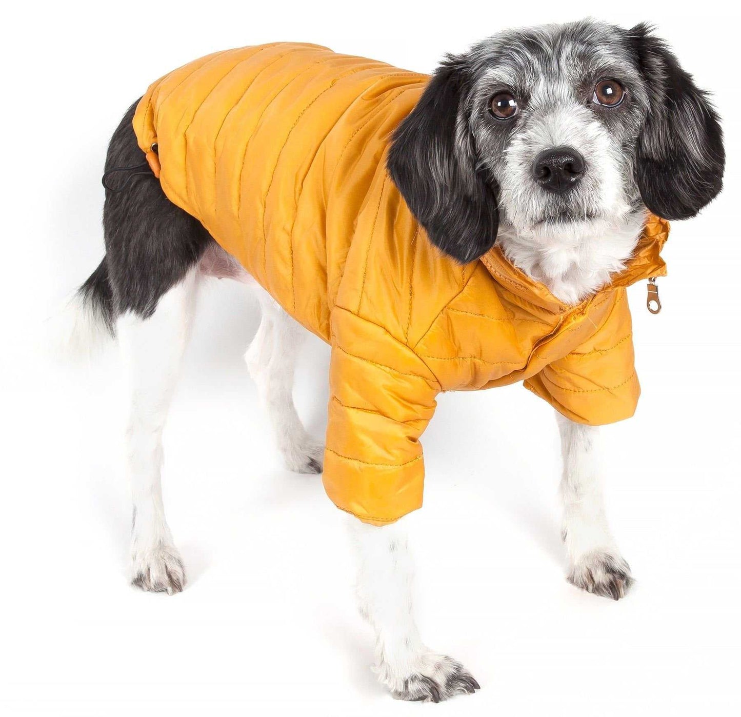 Coats for Dogs - Sporty Avalanche Coat
