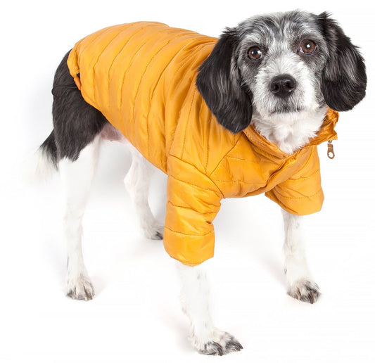 Coats for Dogs - Sporty Avalanche Coat