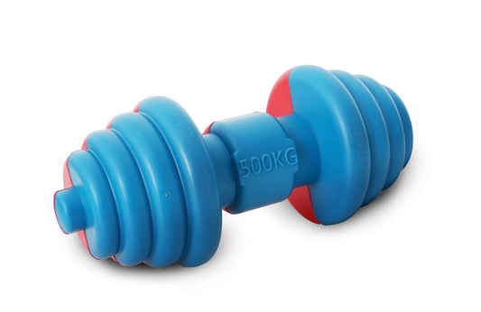 Red and blue durable water floating dog chew toy made of tough, flexible TPR material for teething and water fetch play