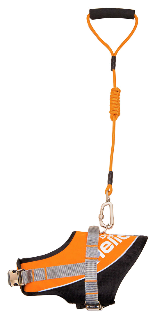 Adjustable 2-in-1 Leash and Harness Dog Walking Set