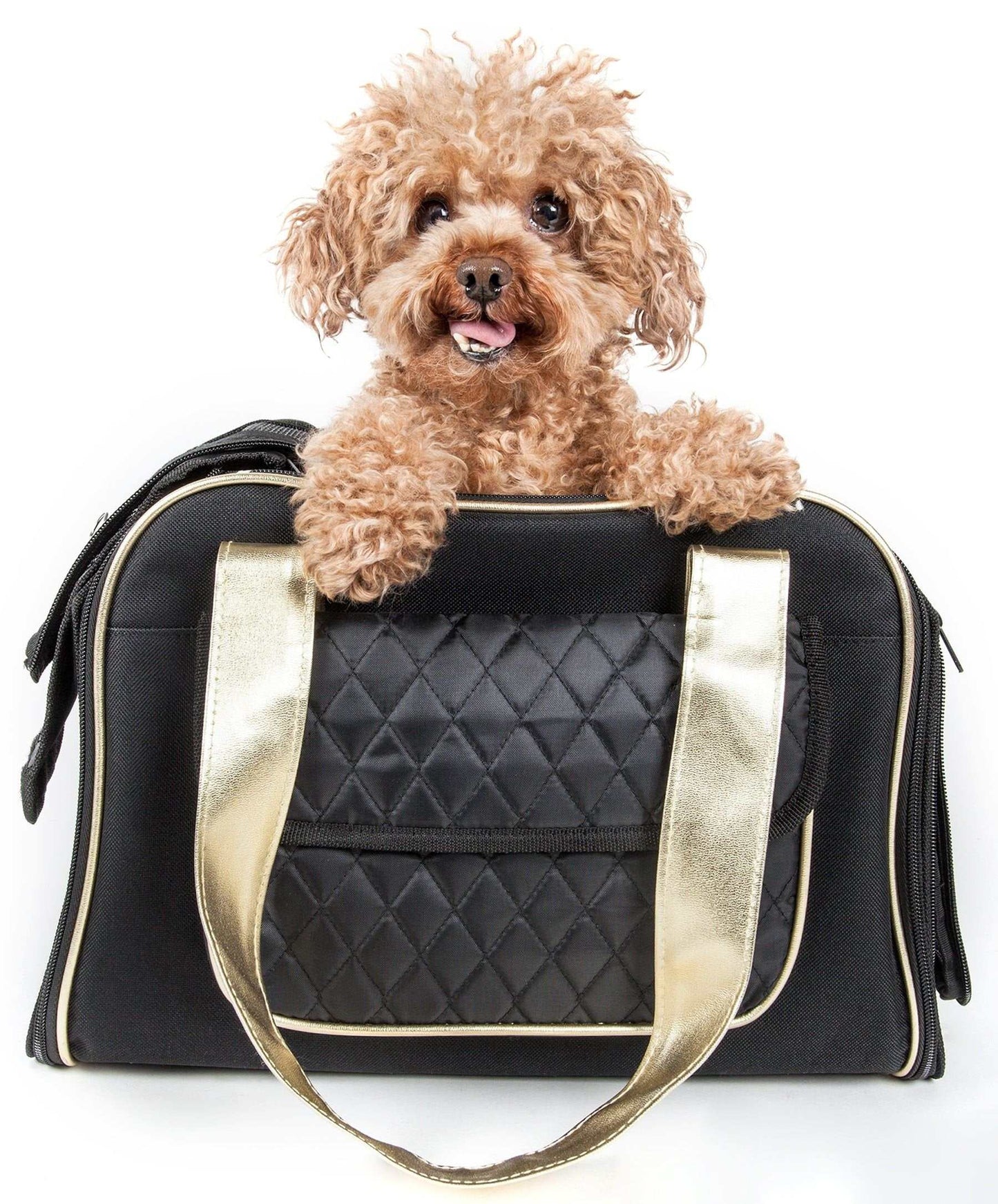 Airline Approved Mystique Dog Carrier Purse