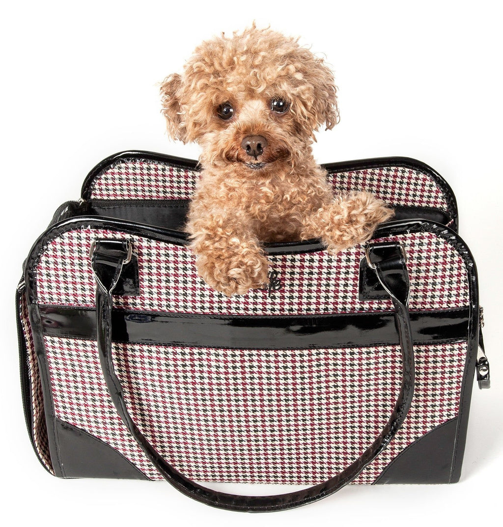 Exquisite Fashion Dog Carrier Purse