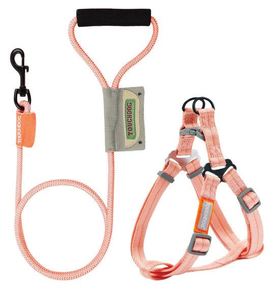 Durable nylon dog walking set with colorful macaron-inspired leash and harness, soft EVA foam grip, and chrome swivel hook