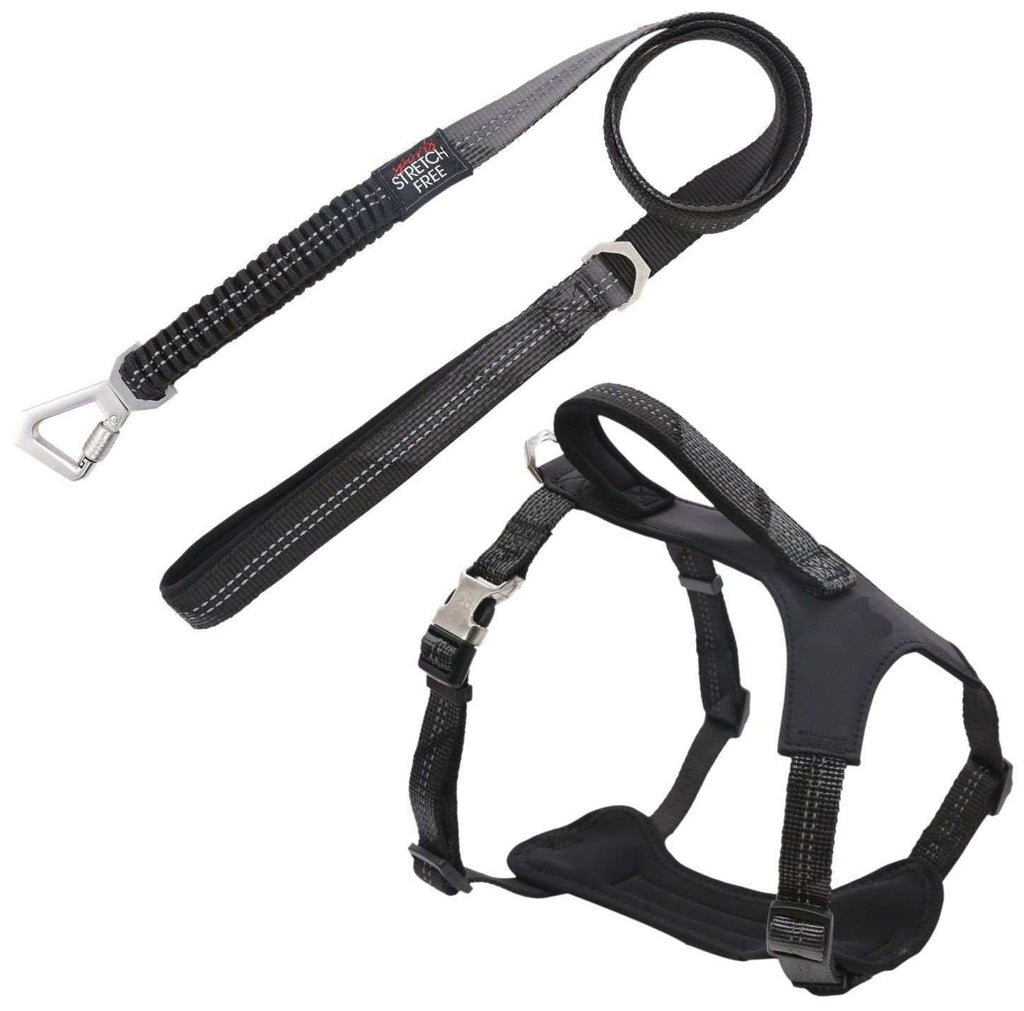 Geo-prene 2-in-1 dog walking set with neoprene padded harness and reflective leash