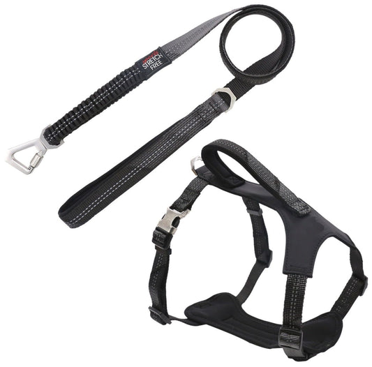 Geo-prene 2-in-1 dog walking set with neoprene padded harness and reflective leash