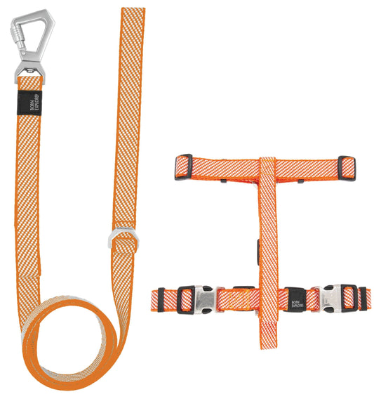 2-in-1 convertible durable nylon dog walking leash with adjustable loop and metal swivel lock