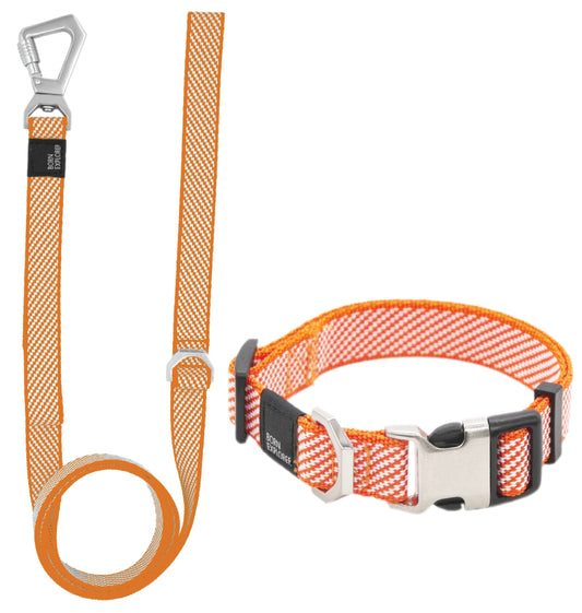 Escapade 2-in-1 Convertible Dog Walking Set