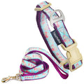Avery Patterned Dog Walking Set