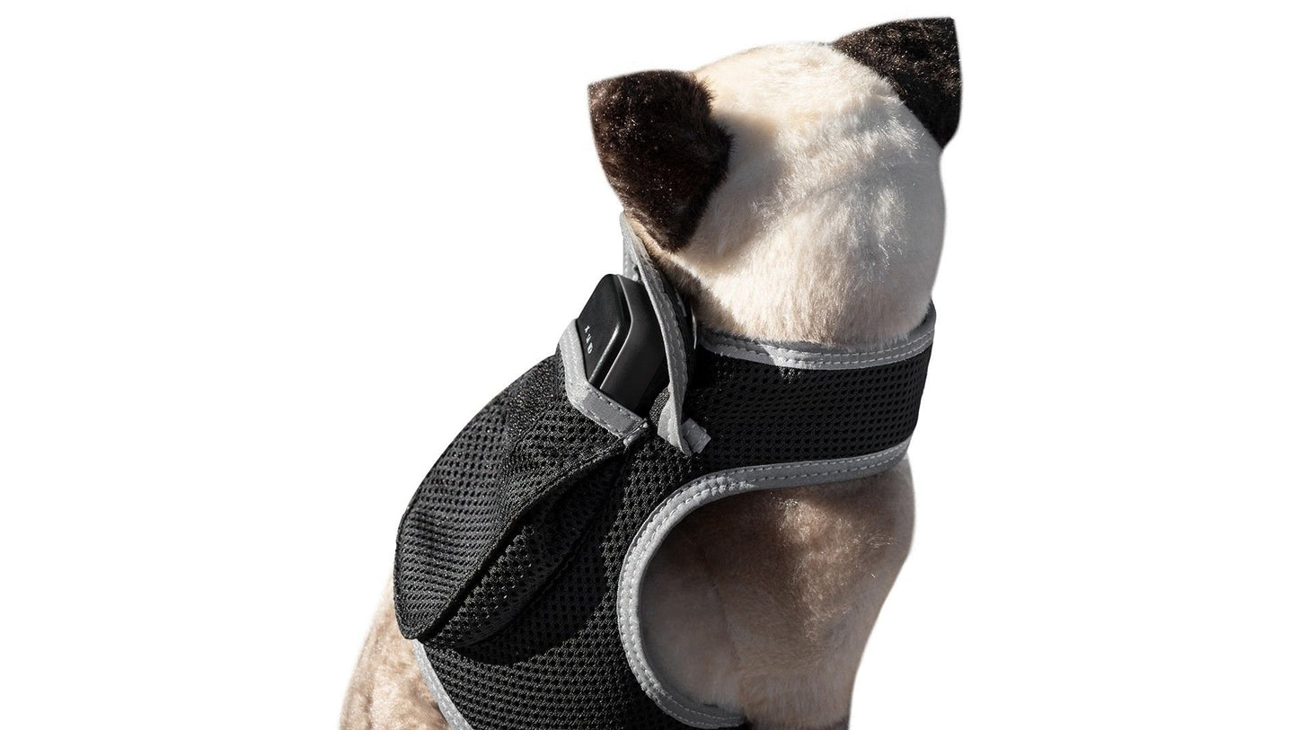Lightweight breathable dog harness with GPS tracker device for pet tracking and comfort