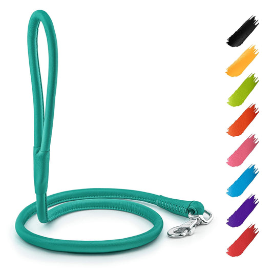 4ft Leather Rolled Dog Leash