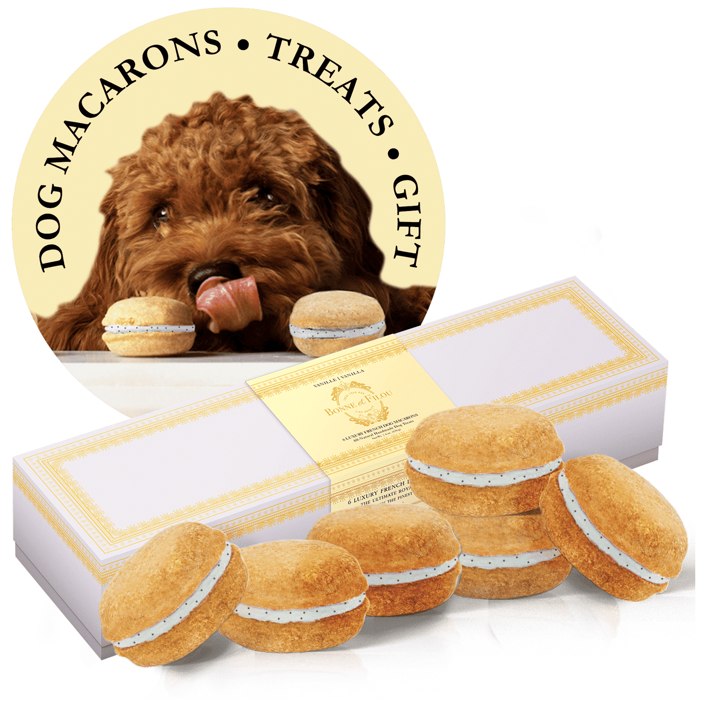 Box of six handmade dog macarons in seven natural flavors, long-lasting chew treats for dogs