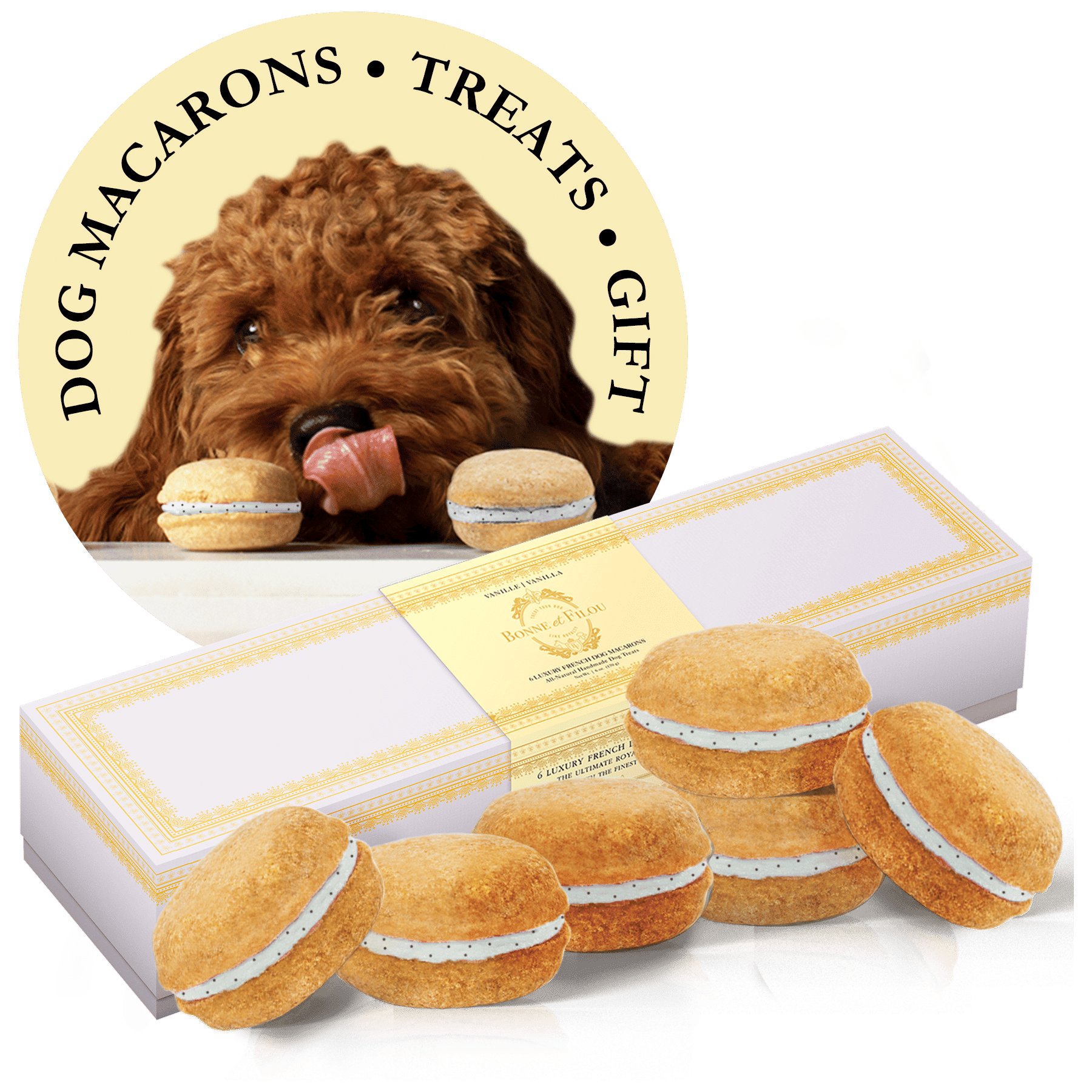 Box of six handmade dog macarons in seven natural flavors, long-lasting chew treats for dogs