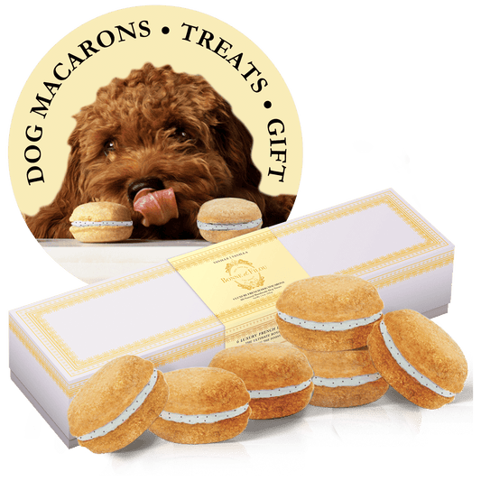 Box of six handmade dog macarons in seven natural flavors, long-lasting chew treats for dogs