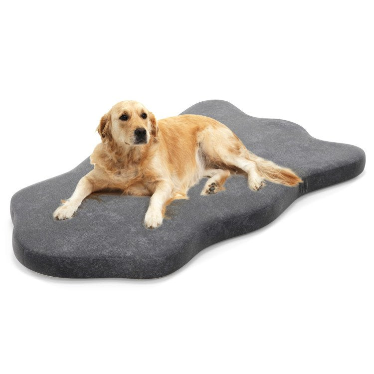 Orthopedic Dog Bed with Memory Foam Support