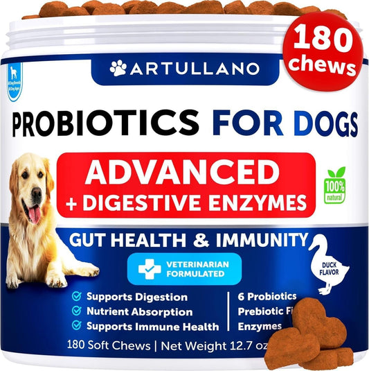 Probiotic Supplements for Dogs