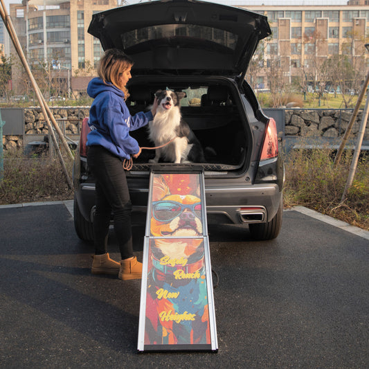 Retractable Aluminum Dog Ramp for Cars and Trucks