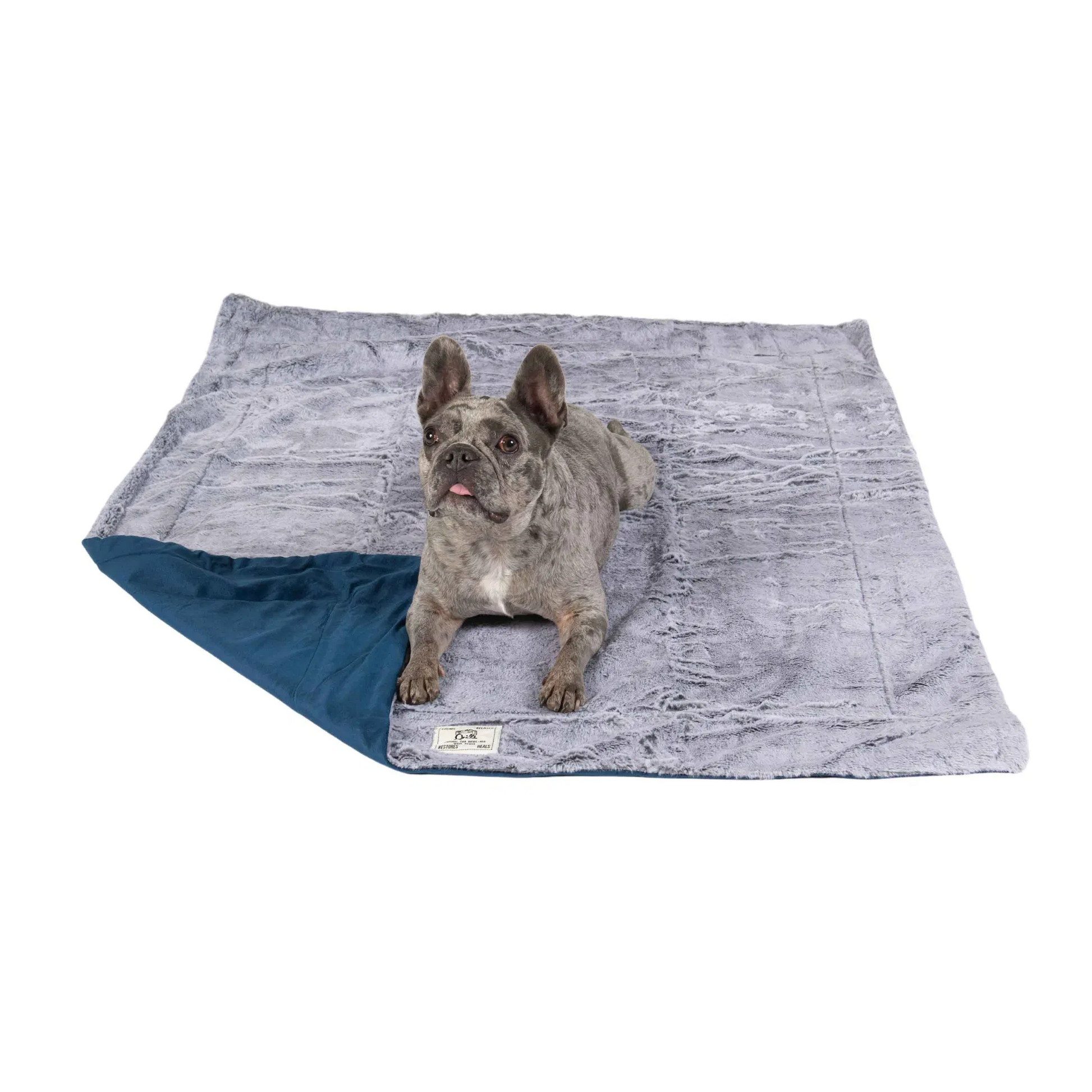 Chill Kuzzi Blanket grey bio-ceramic technology blanket with dog lying on it