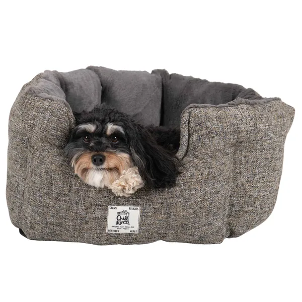 Small dog resting comfortably in a gray Chill Kuzzi Round Bed with soft, deep cushioning designed for enhanced pet relaxation and joint support.
