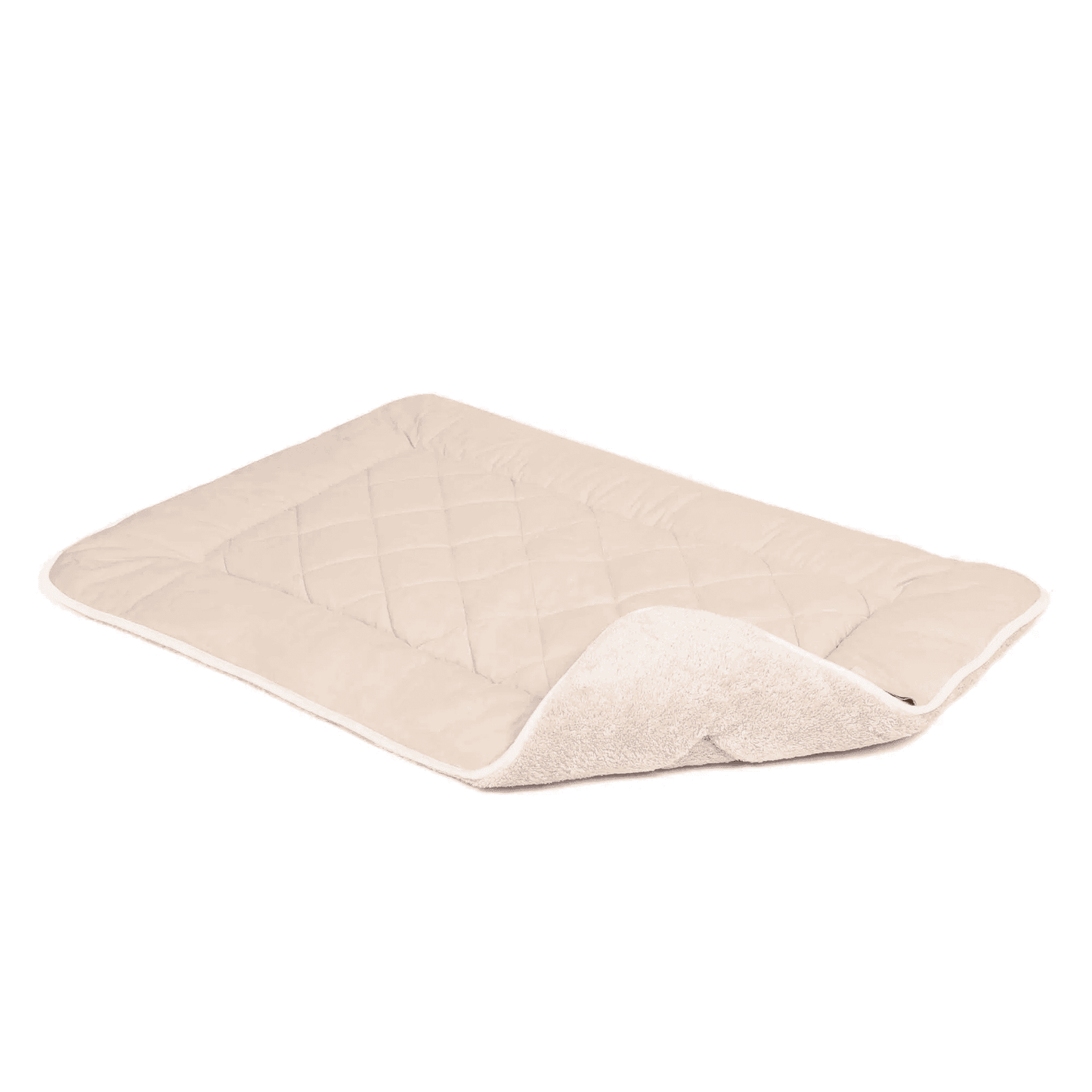 Sleeper Dog Cushion