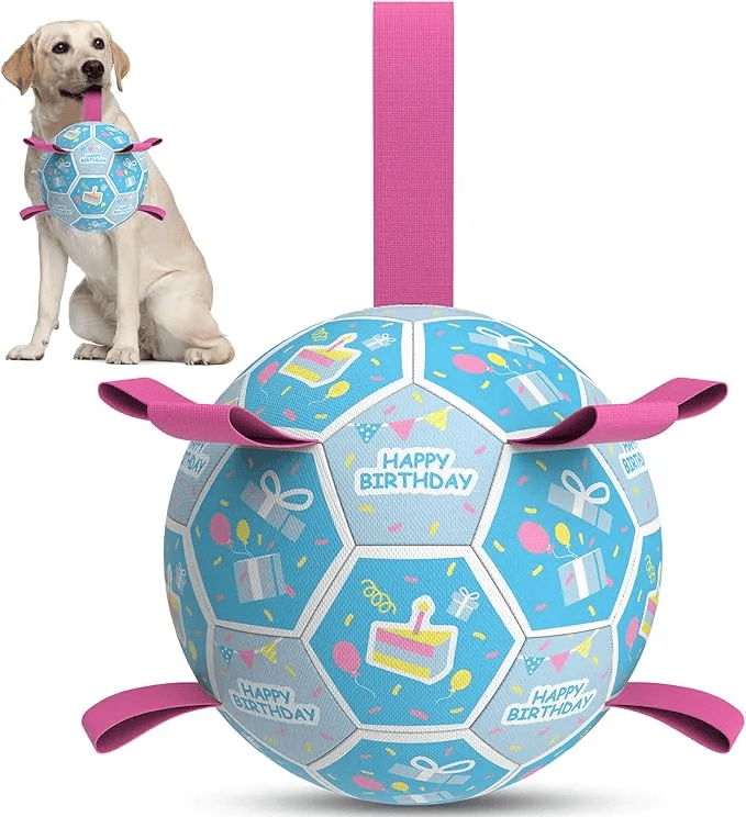 8-inch soccer ball dog fetch toy with straps for outdoor play and herding