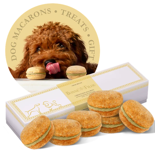 Box of 6 handmade dog macarons in various flavors, natural and long-lasting chew treats