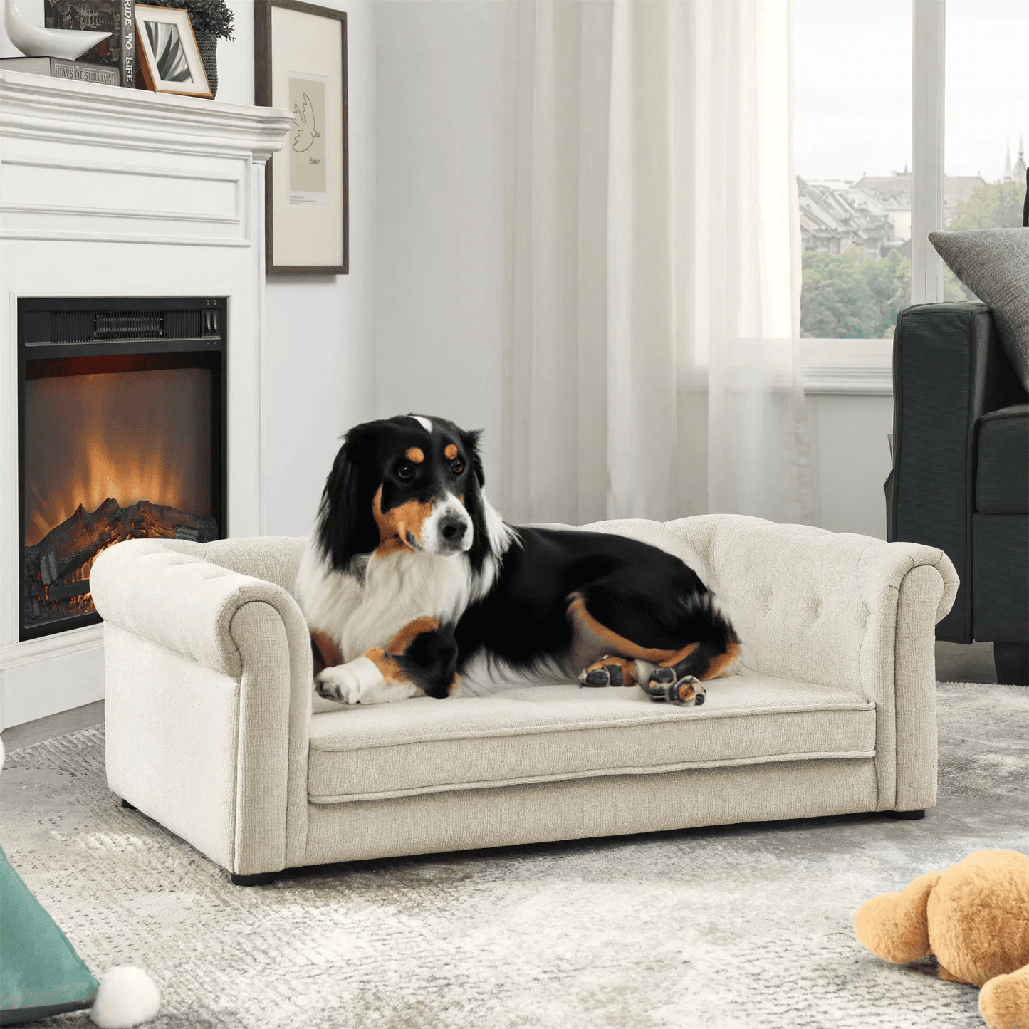 Fashionable Sofa Dog Bed