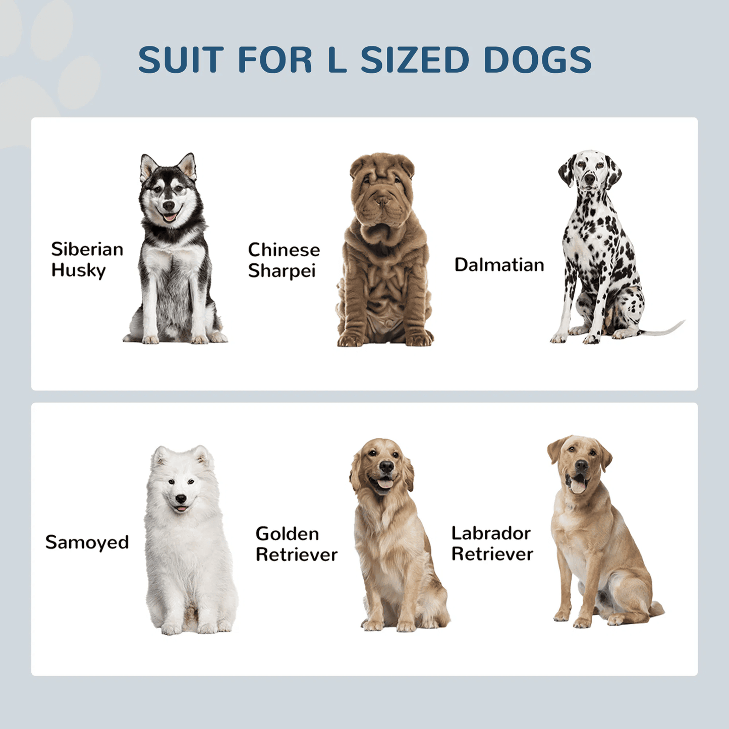 Large Elevated Dog Bowls with Storage Drawer