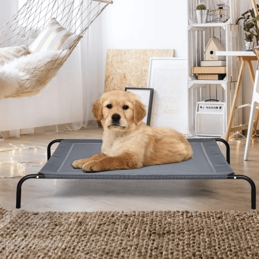Elevated Dog Bed