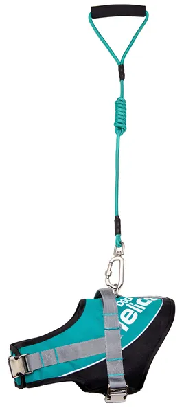 Adjustable 2-in-1 Leash and Harness Dog Walking Set